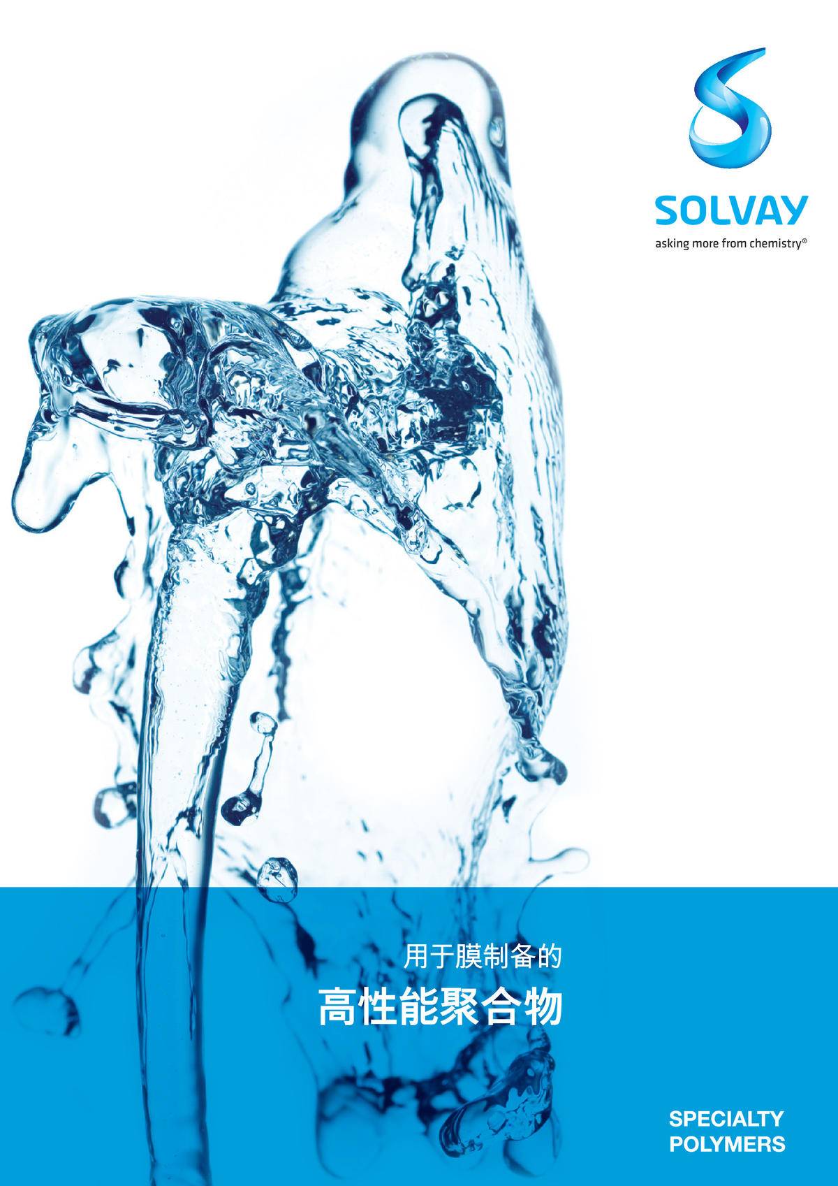 Membranes Specialty Polymers CN v1.2