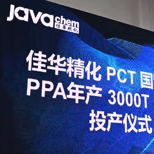 佳华精化年产3000吨PPA生产线正式投产